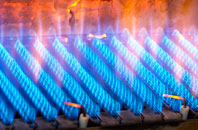 Birnam gas fired boilers